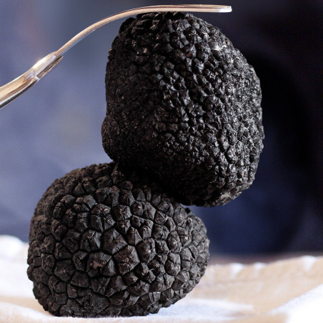 Les Truffes Noires du Périgord Brossées 1er choix 1ere cuisson